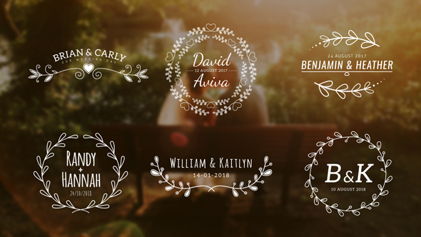 Wedding Titles - Download Videohive 20234573