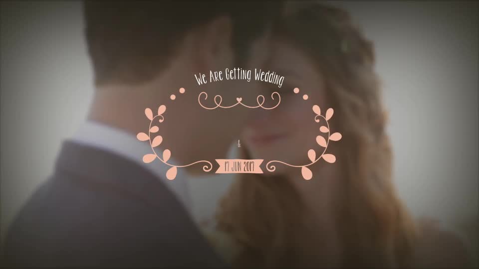 Wedding Titles - Download Videohive 20396133