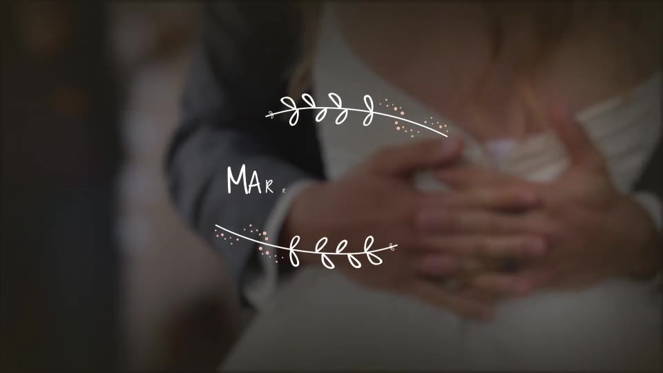 Wedding Titles - Download Videohive 20396133