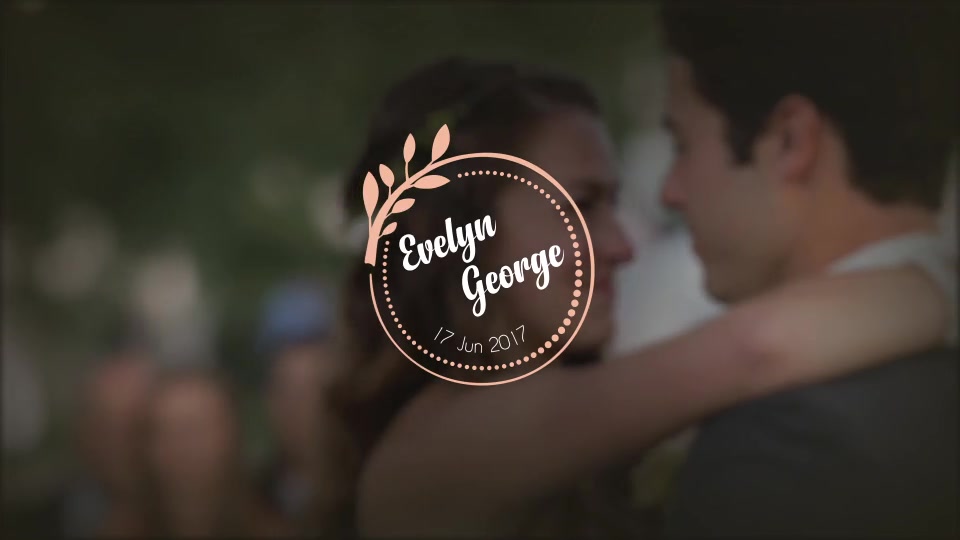 Wedding Titles - Download Videohive 20396133