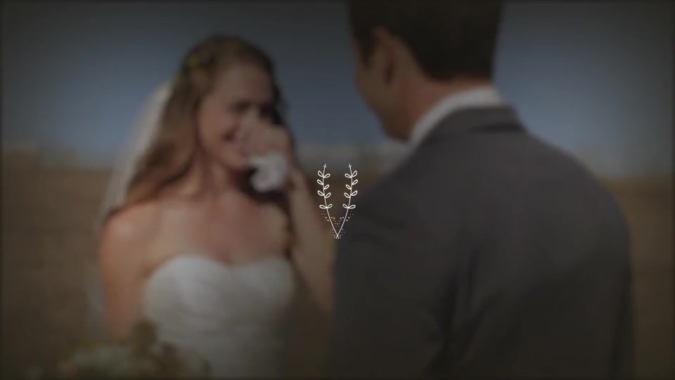 Wedding Titles - Download Videohive 20396133