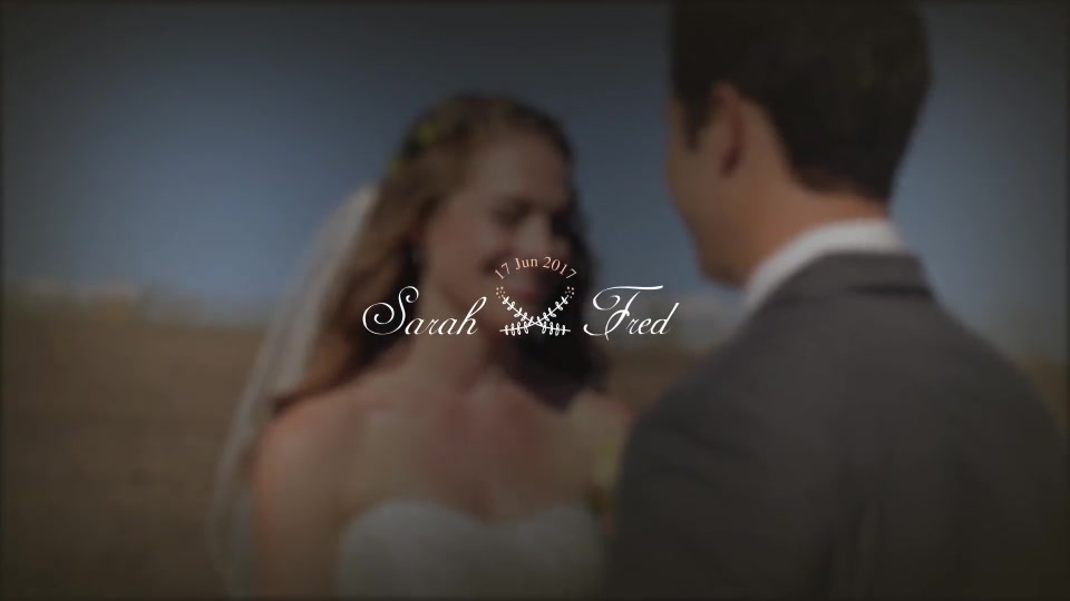 Wedding Titles - Download Videohive 20396133