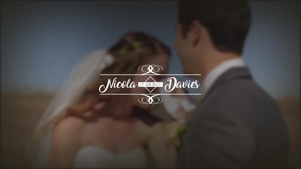 Wedding Titles - Download Videohive 20396133