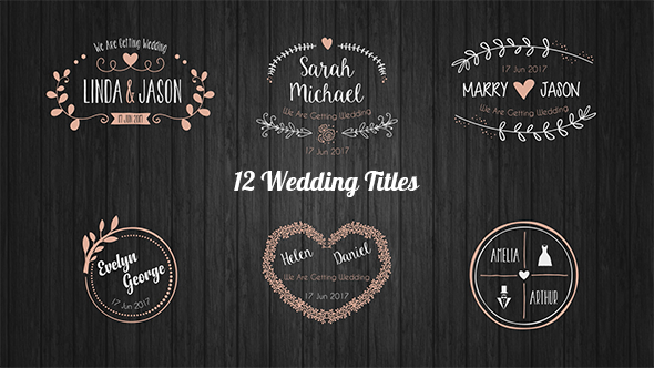 Wedding Titles - Download Videohive 20396133