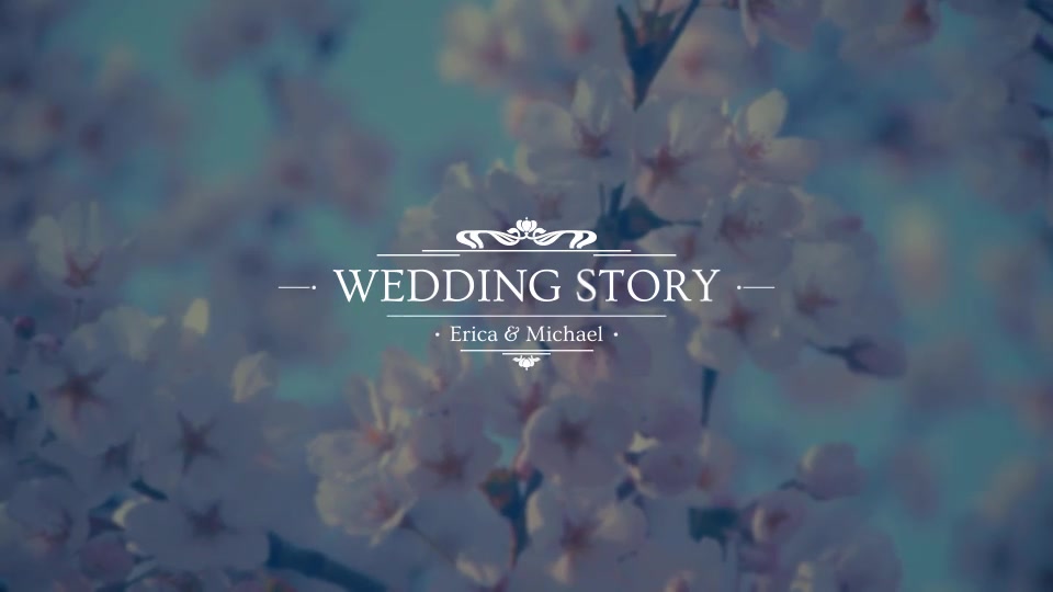 Wedding Titles - Download Videohive 20439562
