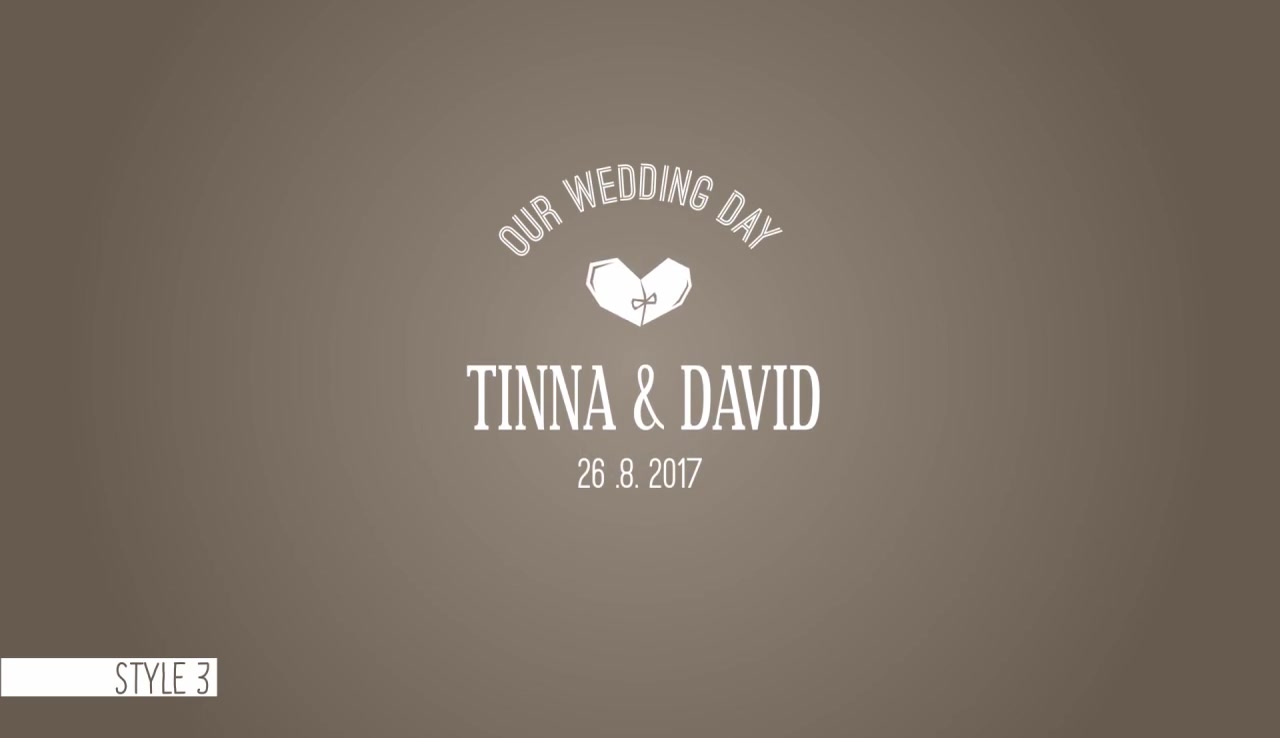 Wedding Titles - Download Videohive 20546988