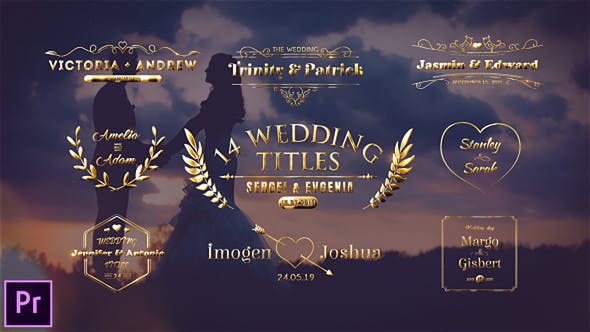 Wedding Titles - Download Videohive 23793642