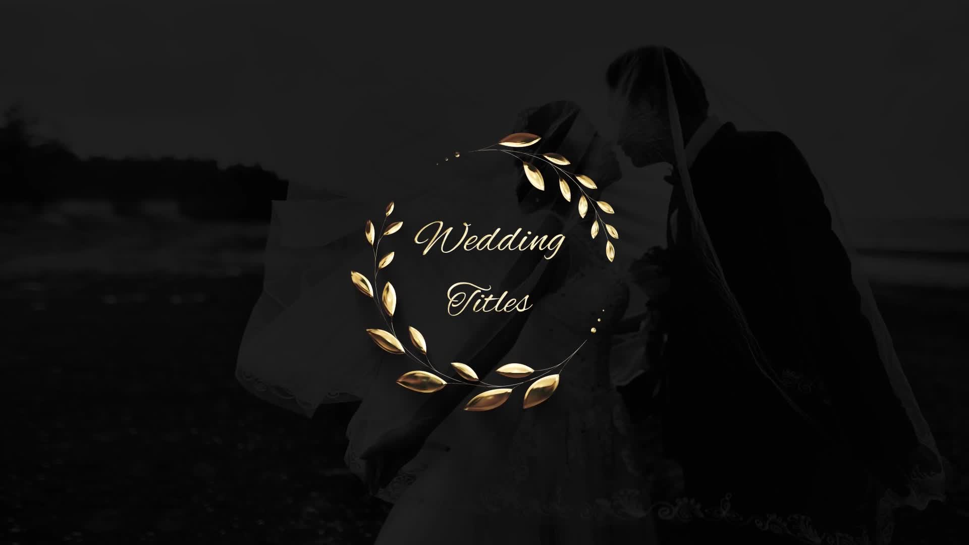 Wedding Titles Videohive 26800409 After Effects Image 1