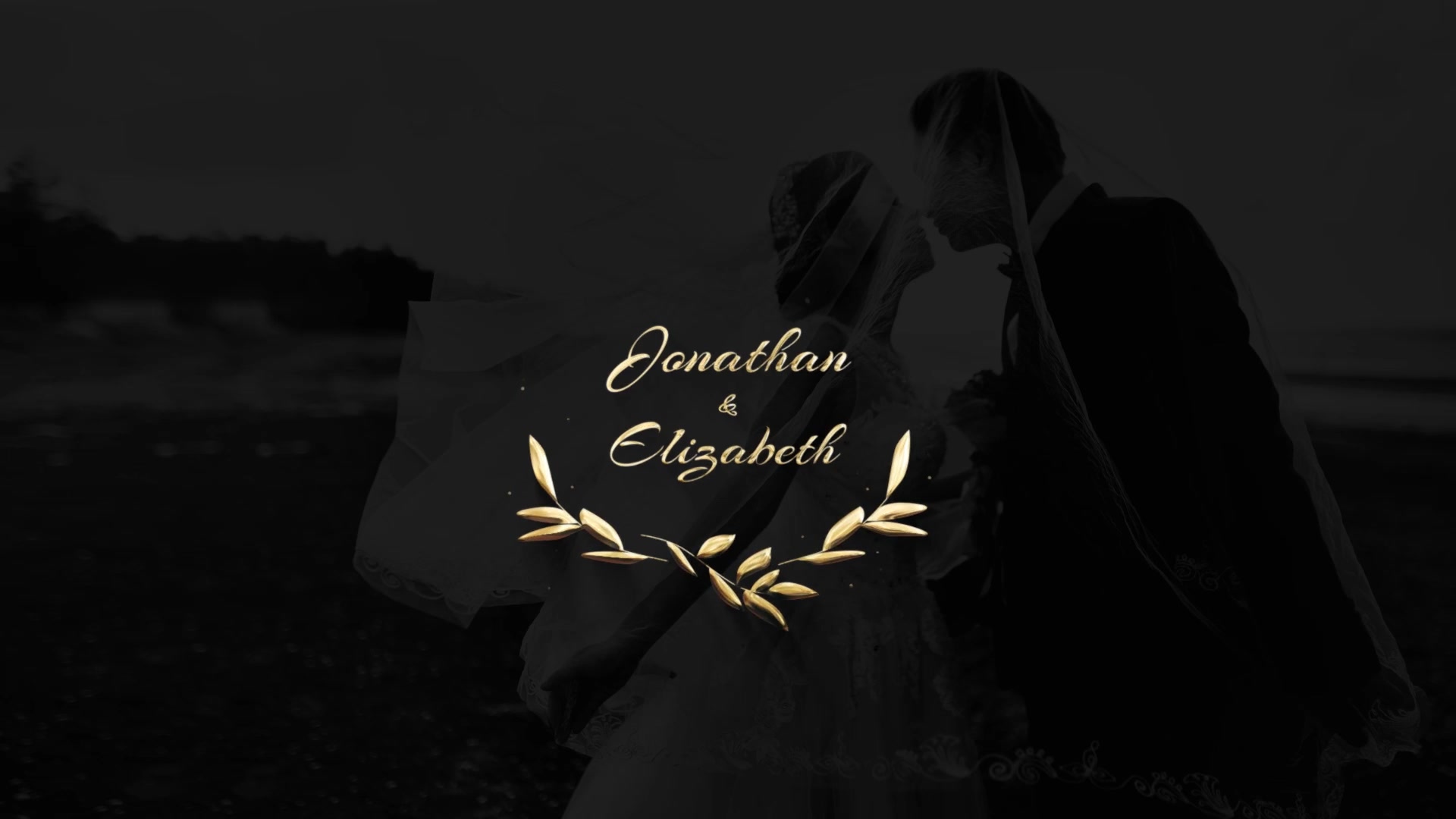 Wedding Titles Videohive 26800409 After Effects Image 7