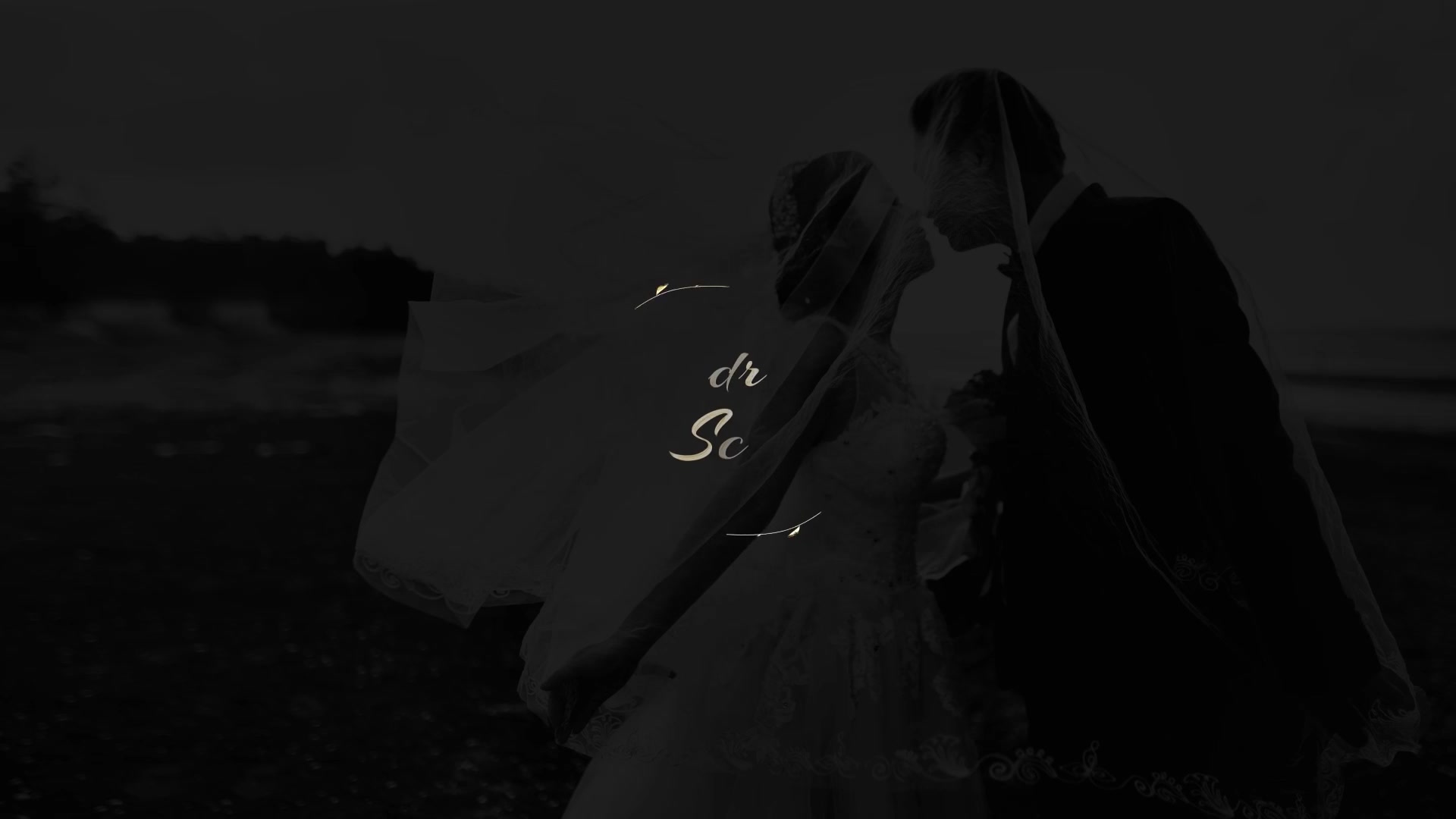 Wedding Titles Videohive 26800409 After Effects Image 9