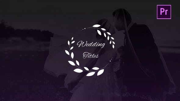 Wedding Titles - Download Videohive 27001460