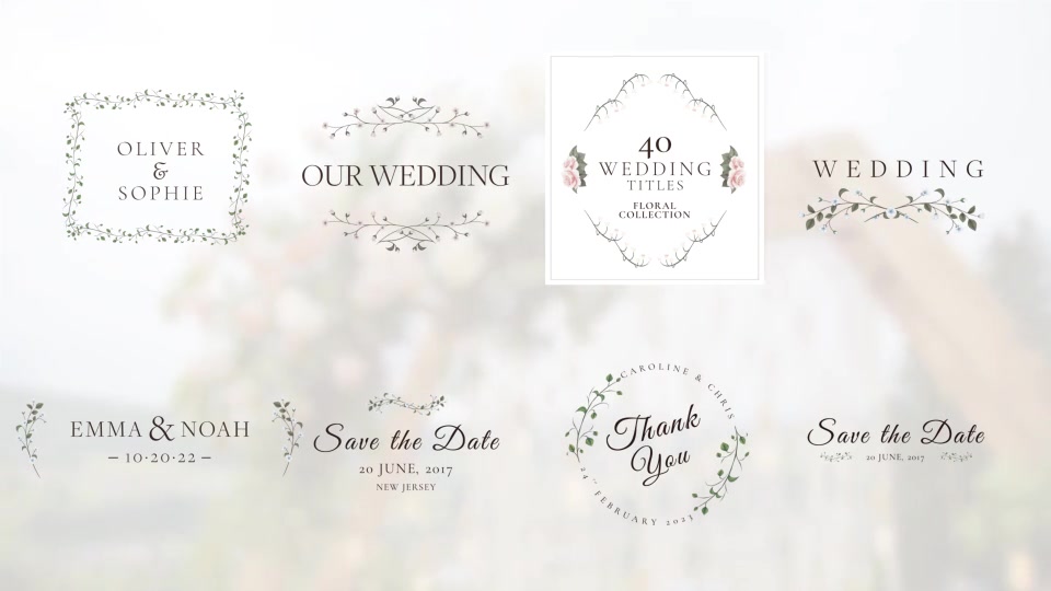 Wedding Titles Videohive 37071913 After Effects Image 11