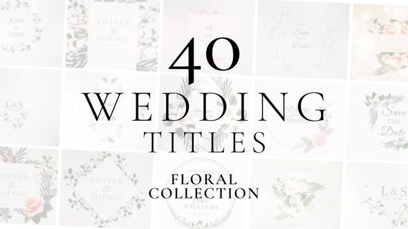 Wedding Titles - Download Videohive 37071913