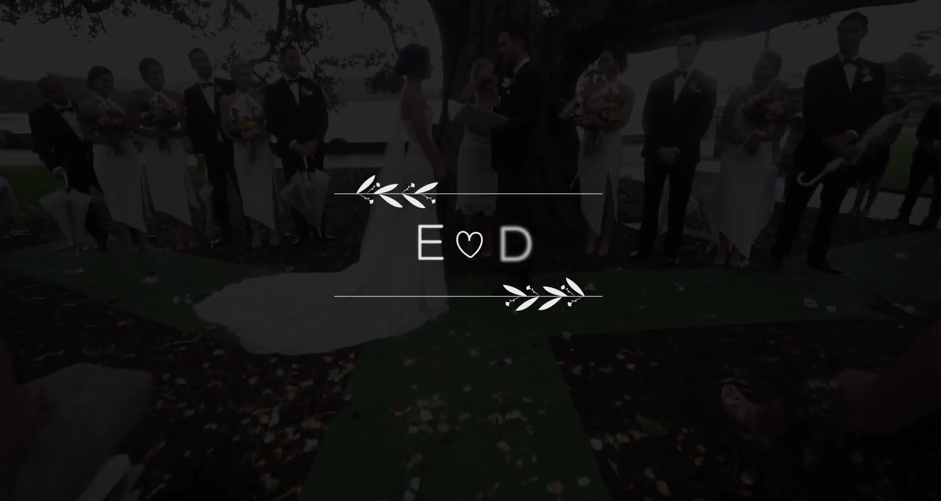 Wedding Titles | FCPX & Apple Motion Videohive 34371778 Apple Motion Image 11
