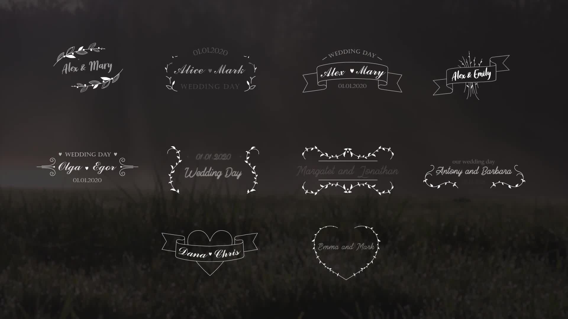 Wedding Titles | FCPX Videohive 26464654 Apple Motion Image 1