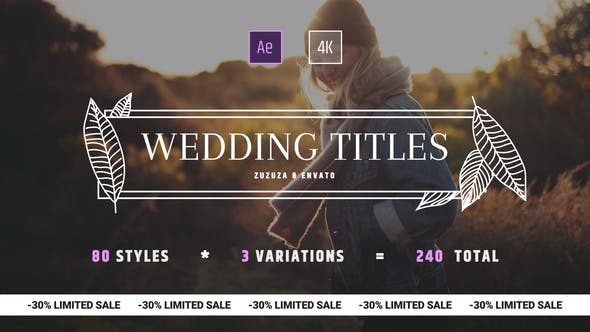 Wedding Titles for After Effects - Videohive Download 24973808