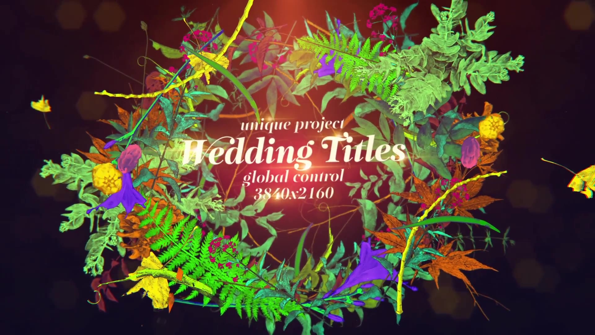 Wedding Titles/ Hand Draw/ Love Story/ Vintage Typography/ Merry Christmas/ Plants/ Flowers/ Wreath Videohive 29432563 After Effects Image 4