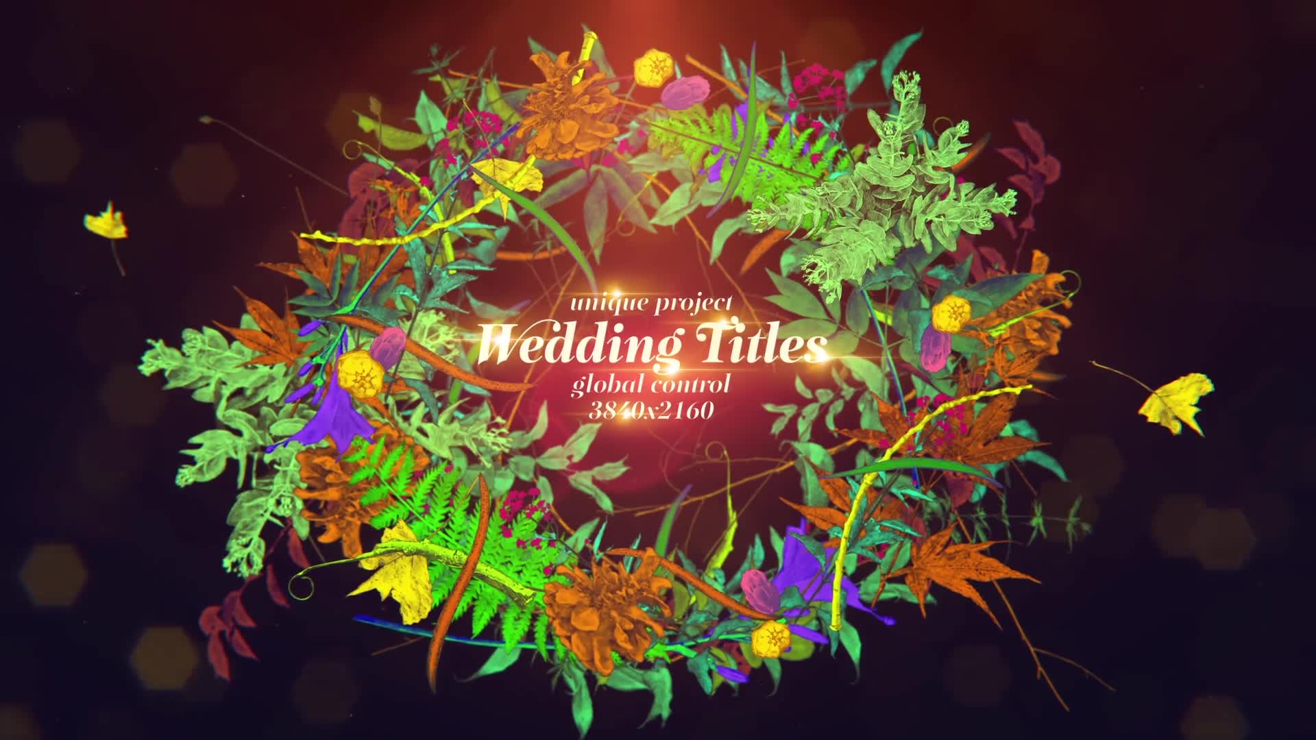Wedding Titles/ Hand Draw/ Love Story/ Vintage Typography/ Merry Christmas/ Plants/ Flowers/ Wreath Videohive 29432563 After Effects Image 6