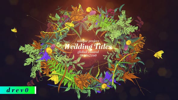 Wedding Titles/ Hand Draw/ Love Story/ Vintage Typography/ Merry Christmas/ Plants/ Flowers/ Wreath - Videohive Download 29432563
