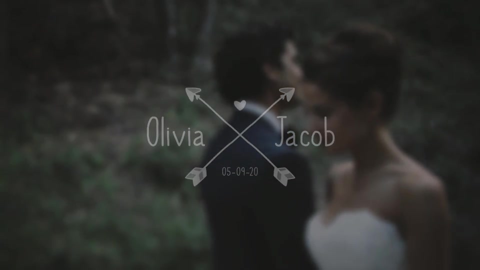 Wedding Titles Pack Videohive 28418047 After Effects Image 10