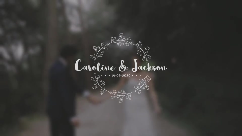 Wedding Titles Pack Videohive 28418047 After Effects Image 8