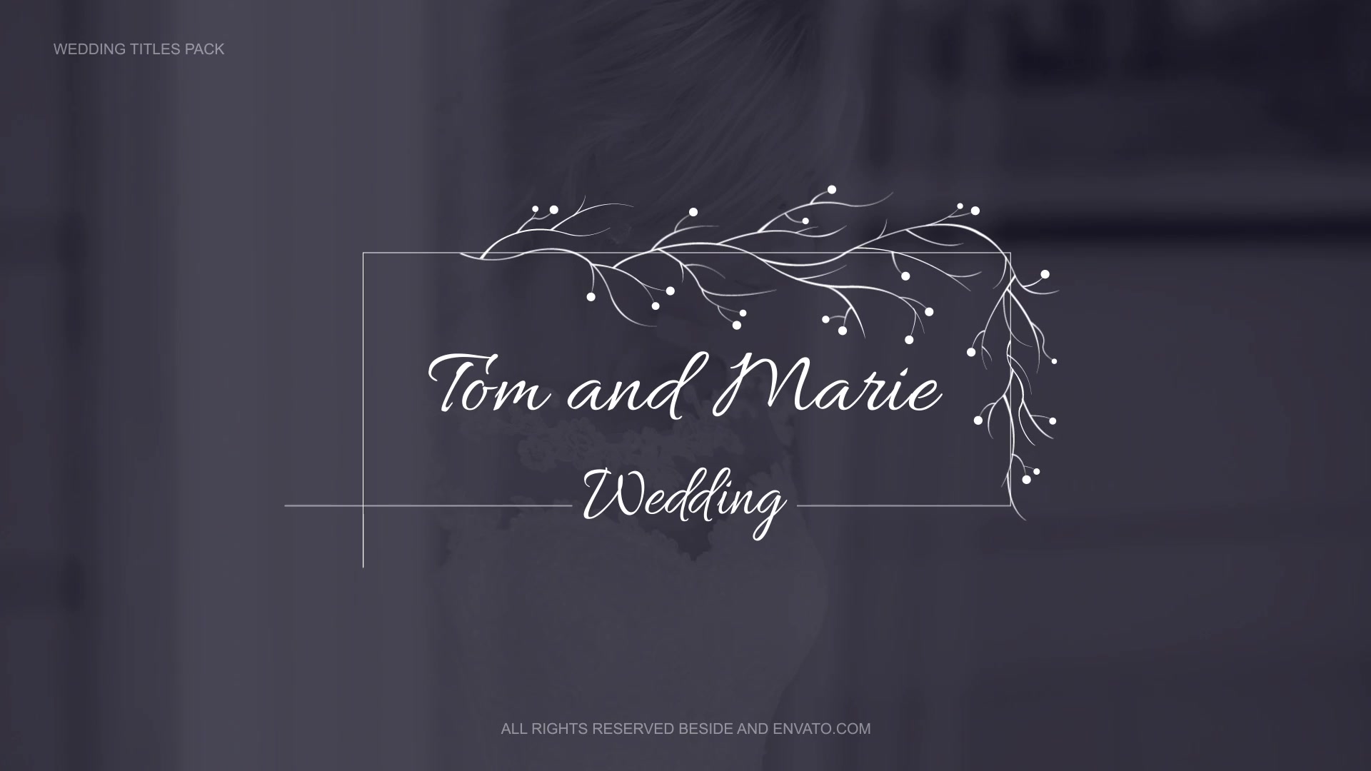Wedding Titles Pack | AE Videohive 34487529 After Effects Image 4