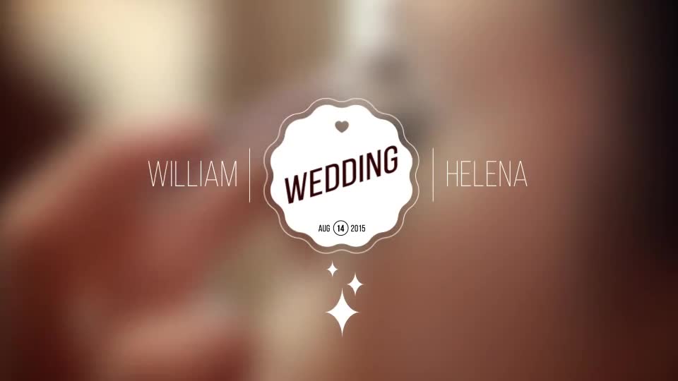 Wedding Titles Pack - Download Videohive 11183712