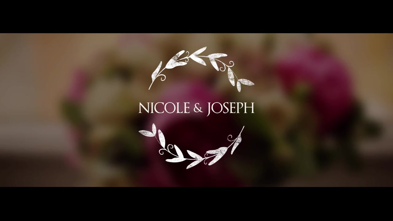 Wedding Titles Pack Videohive 16480788 After Effects Image 4