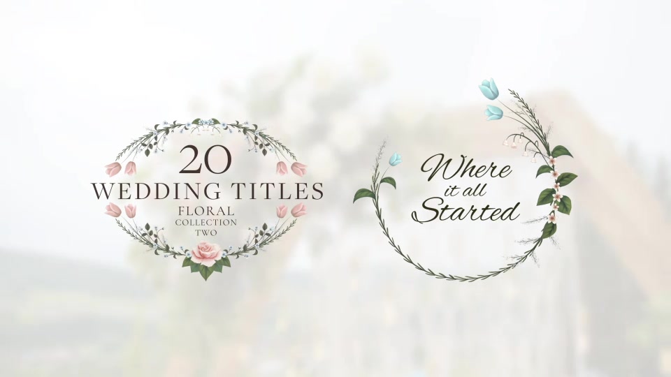 Wedding Titles Videohive 39176020 After Effects Image 11