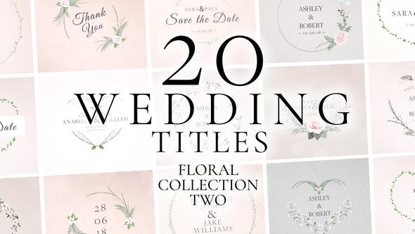 Wedding Titles - Videohive 39176020 Download