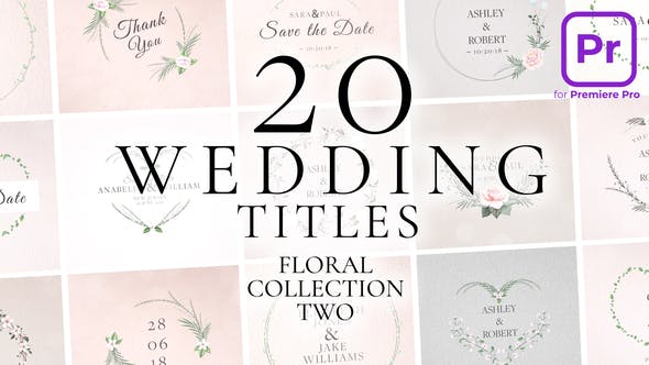 Wedding Titles - Videohive 39461959 Download