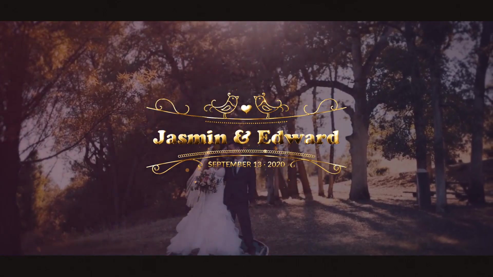 Wedding Titles Videohive 21473391 After Effects Image 6