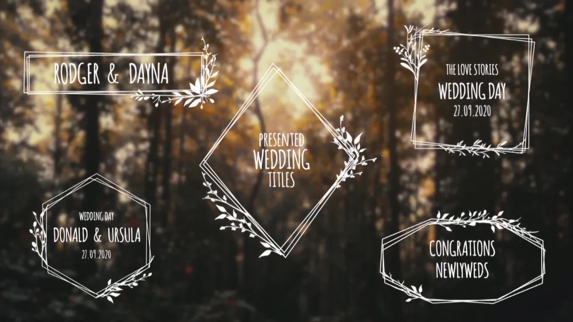 Wedding Titles Videohive 29715445 Apple Motion Image 1