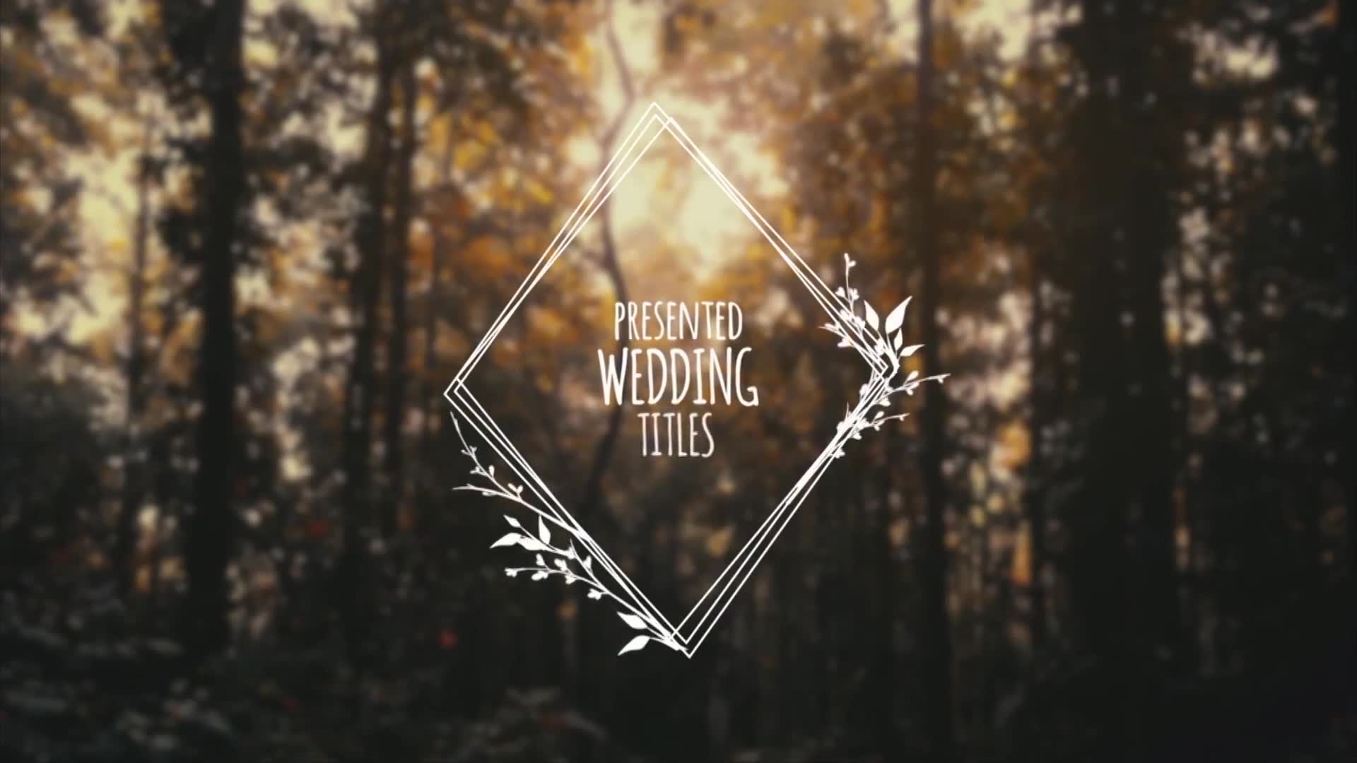Wedding Titles Videohive 29715445 Apple Motion Image 3