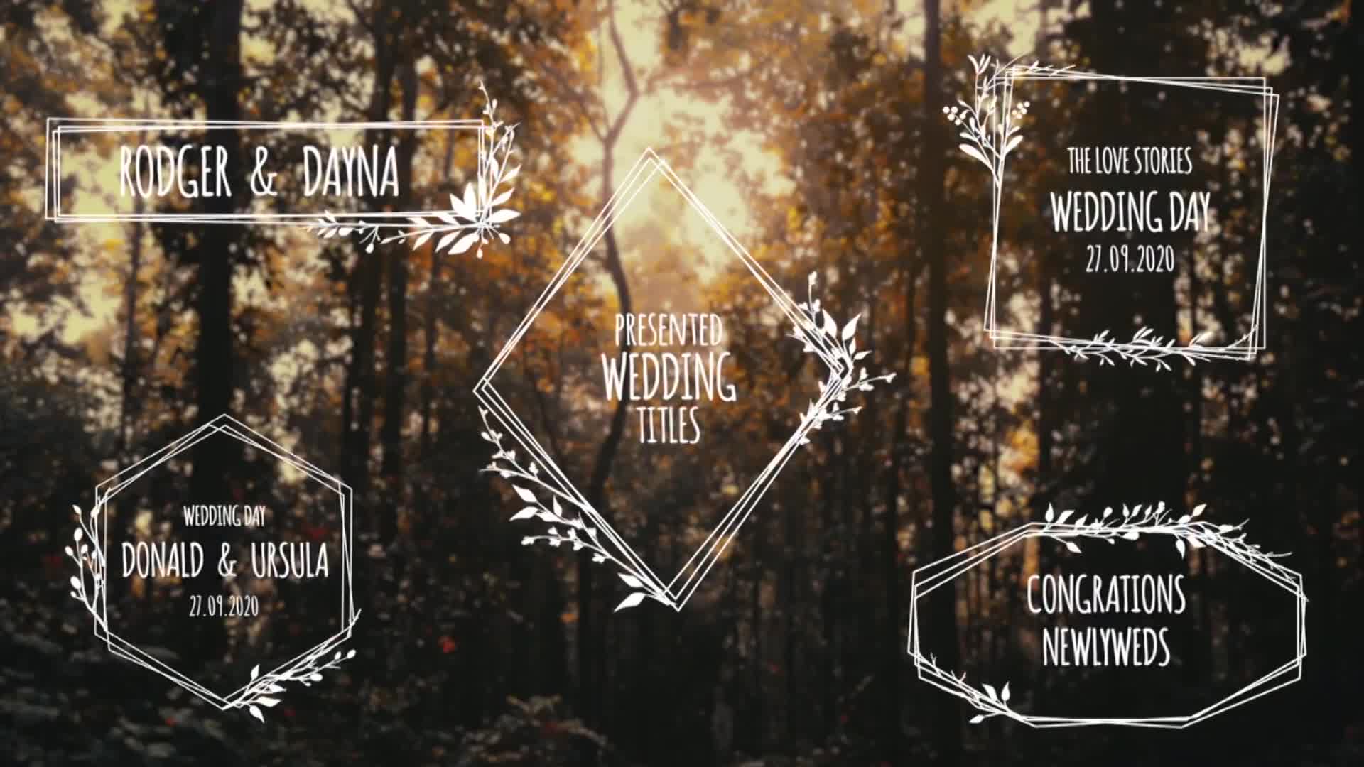 Wedding Titles Videohive 33221968 Premiere Pro Image 1