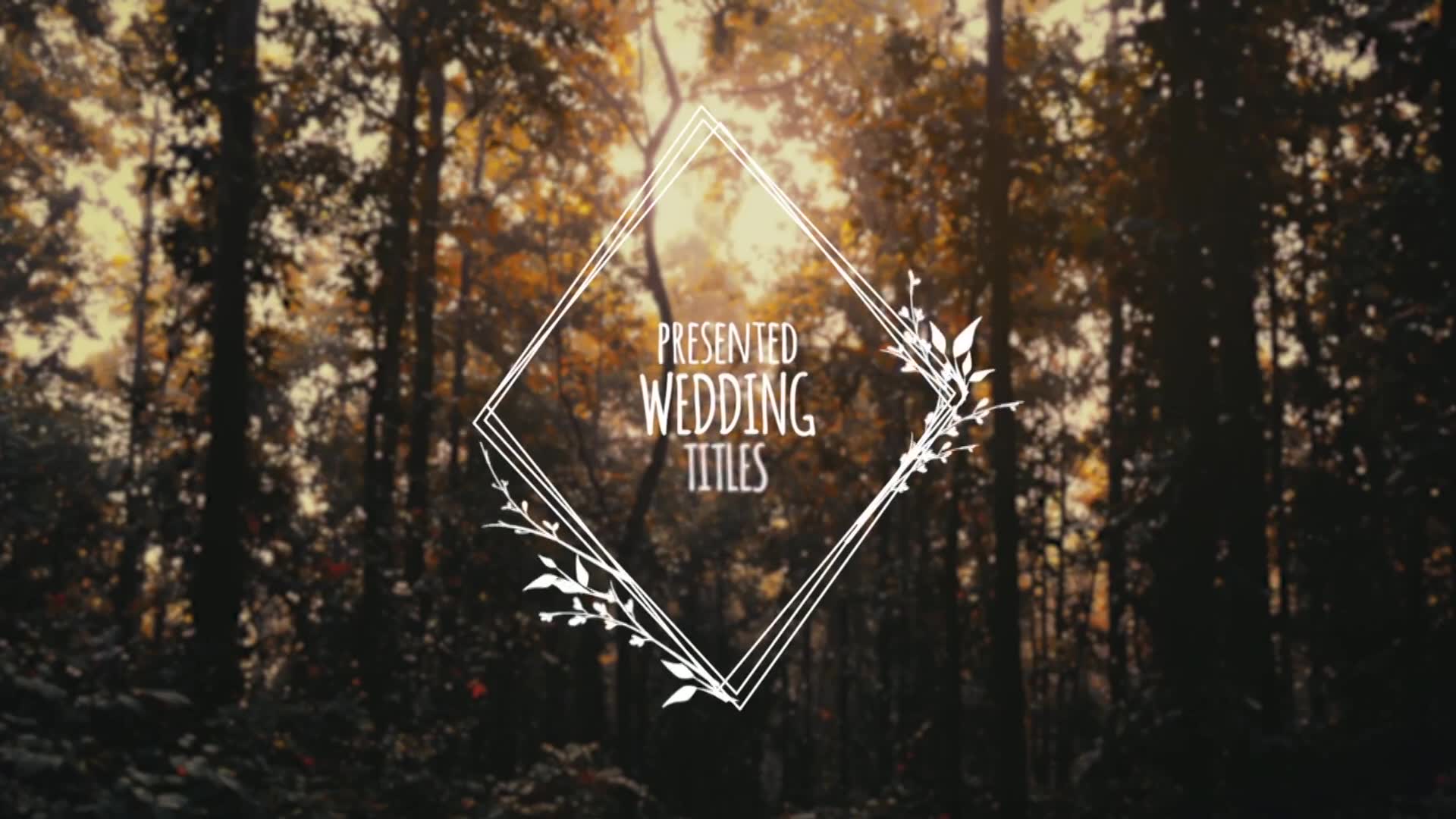 Wedding Titles Videohive 33221968 Premiere Pro Image 3