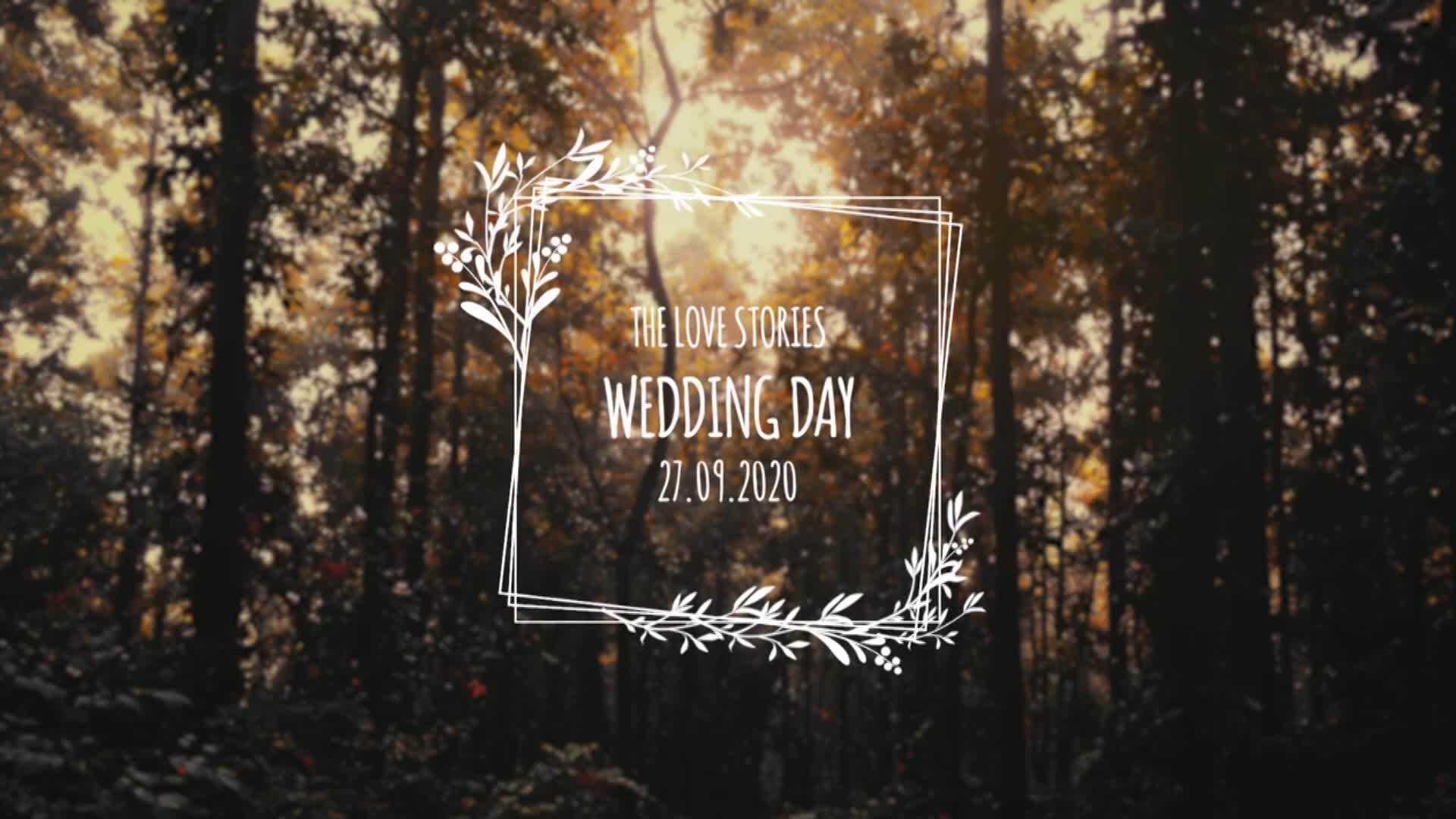 Wedding Titles Videohive 33221968 Premiere Pro Image 9