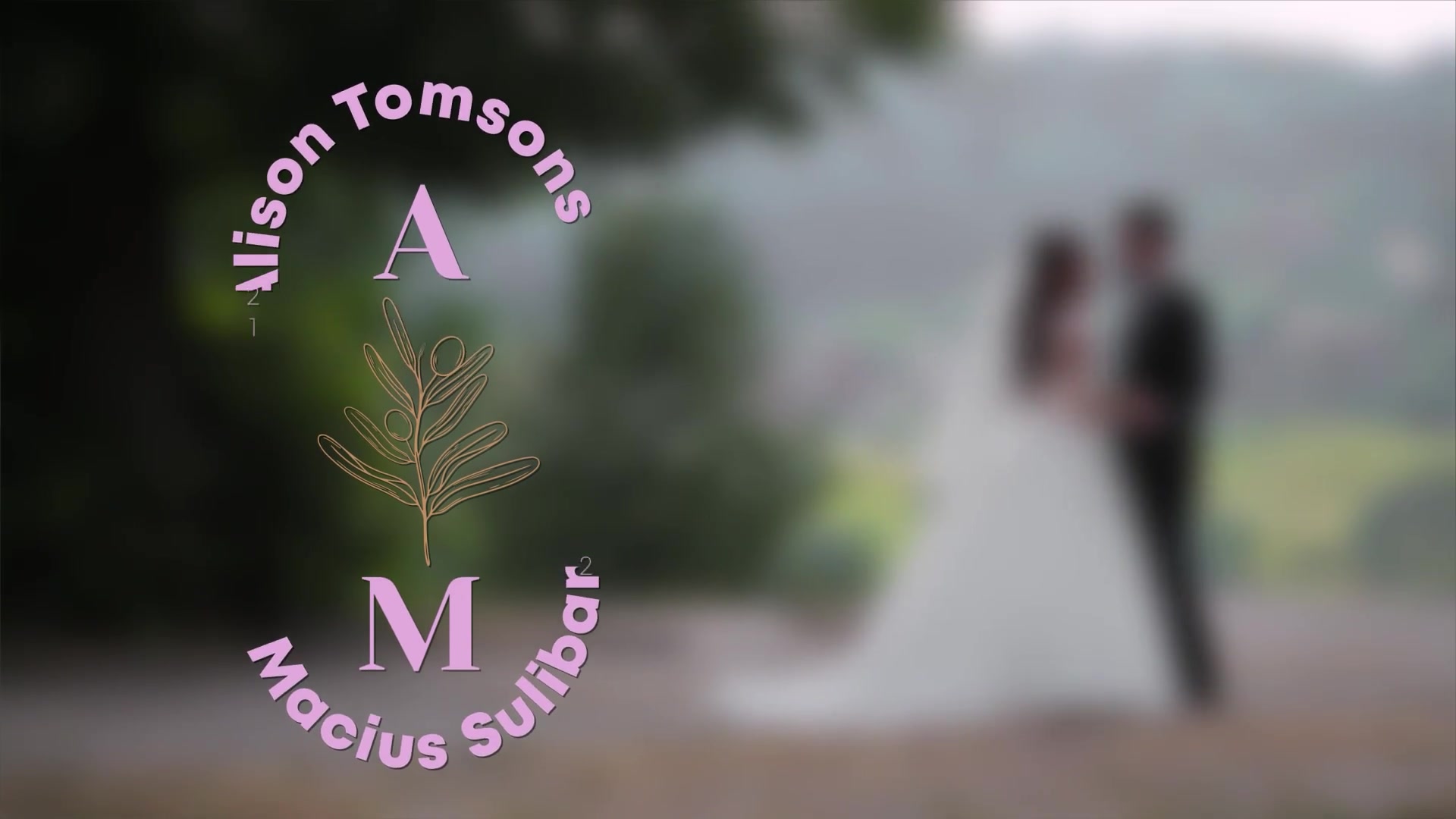 Wedding Titles Videohive 37122129 After Effects Image 7