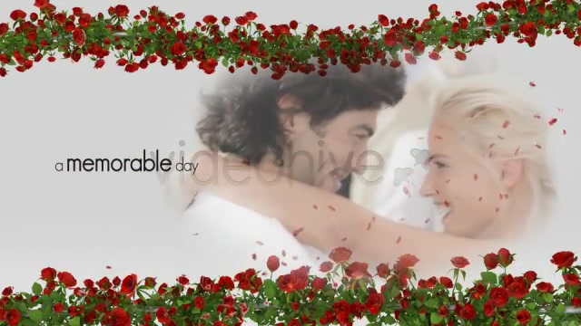 Wedding Trailer - Download Videohive 3610957