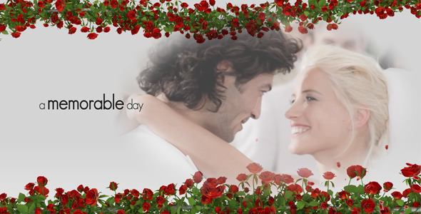 Wedding Trailer - Download Videohive 3610957