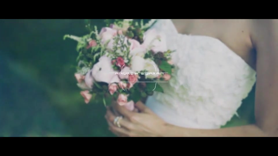 Wedding Typography Titles – Dates and Names - Download Videohive 8934703