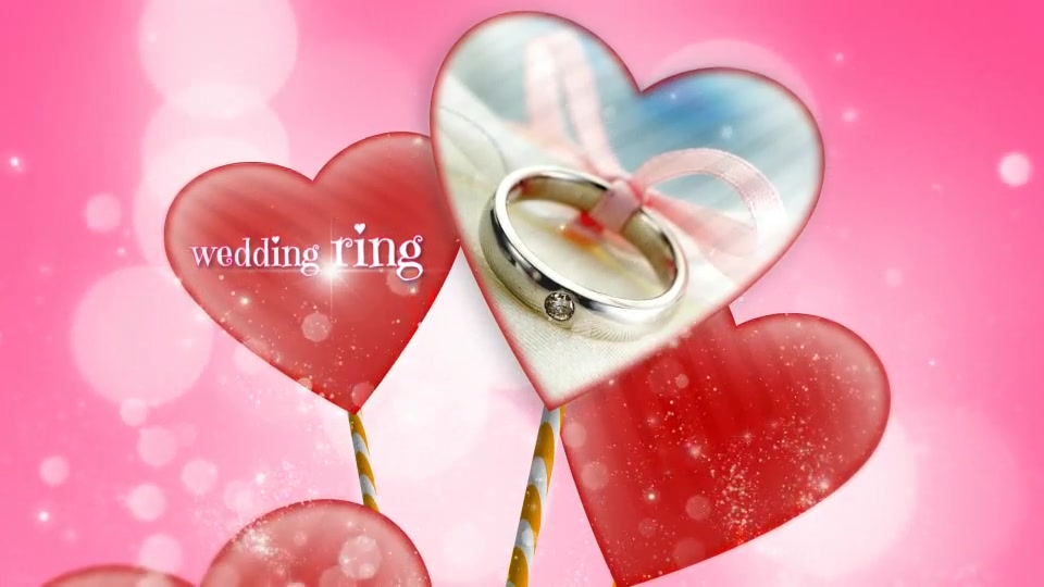 Wedding Video Package - Download Videohive 5457161