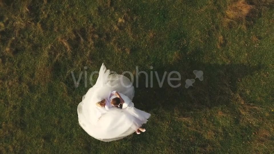 Wedding  Videohive 15777046 Stock Footage Image 2