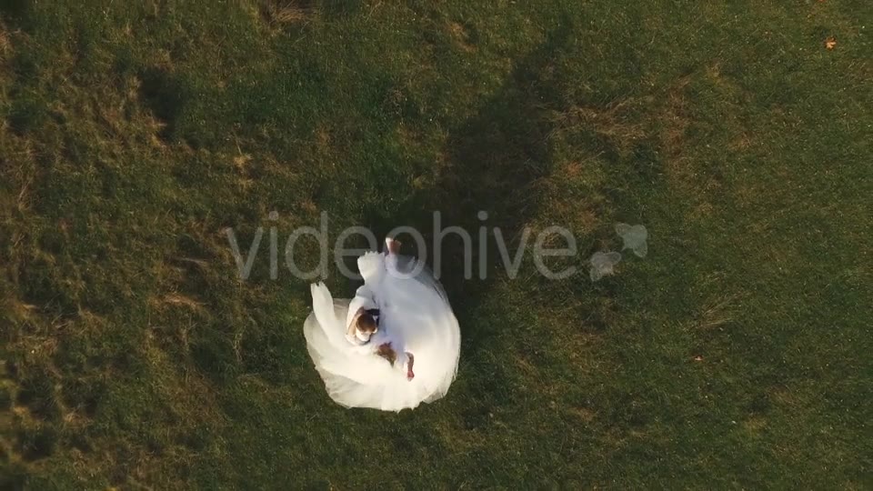 Wedding  Videohive 15777046 Stock Footage Image 6