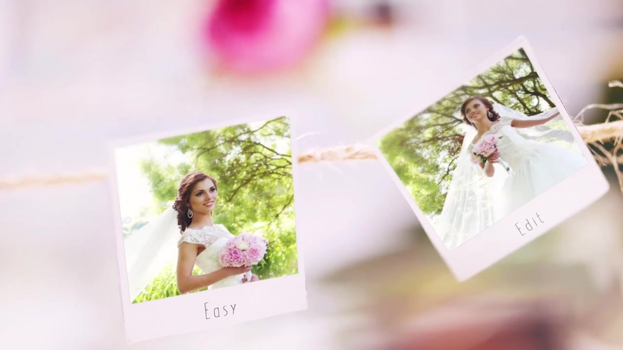 Wedding Videohive 20678642 After Effects Image 4