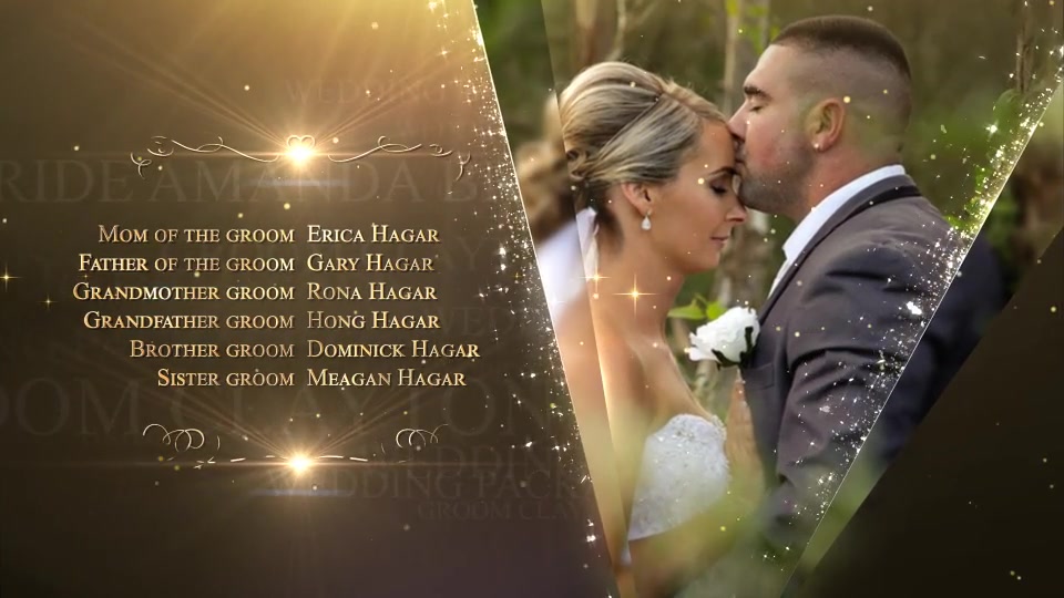 Wedding Videohive 22133573 After Effects Image 10
