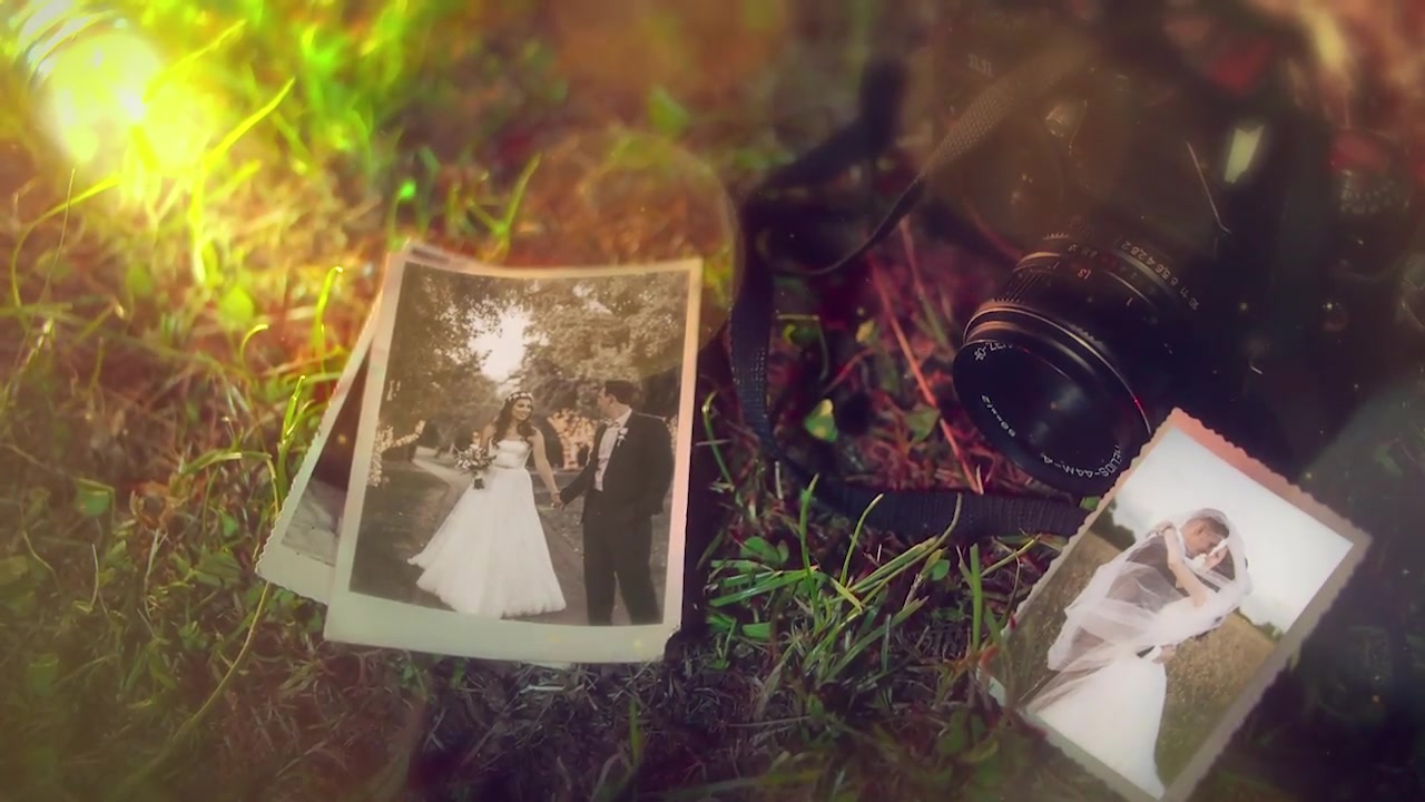 Wedding Videohive 24310524 After Effects Image 11