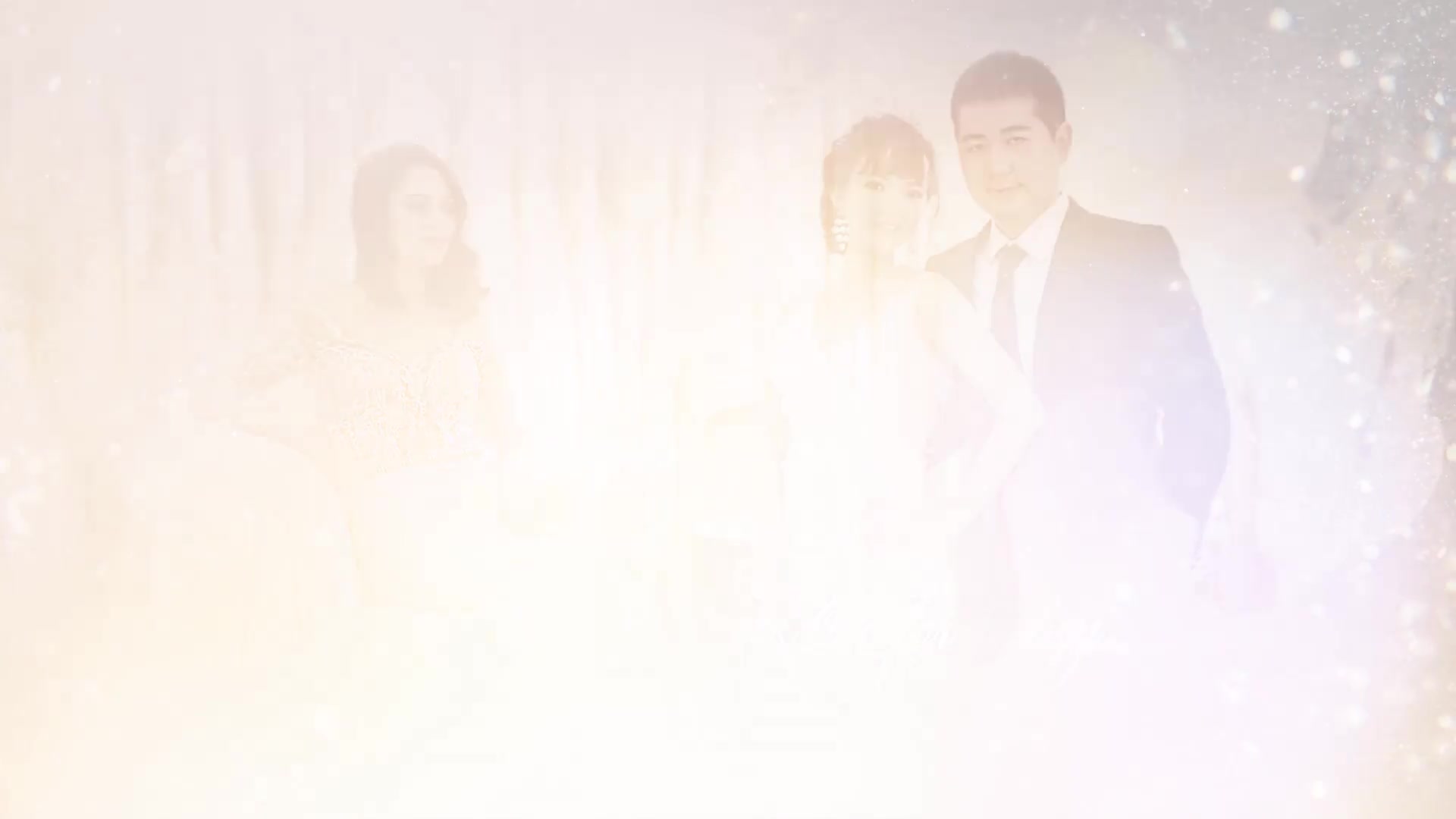 Wedding Videohive 44855475 Premiere Pro Image 11