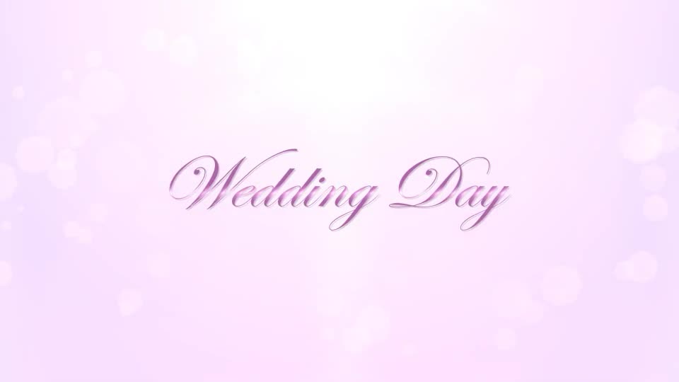 Wedding Videohive 3458906 After Effects Image 1