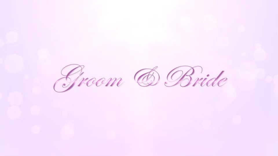 Wedding Videohive 3458906 After Effects Image 2